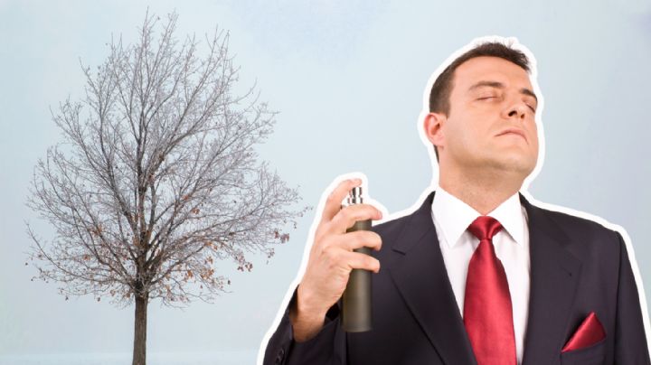 5 perfumes de hombre que son ideales para regalar en la temporada otoño-invierno