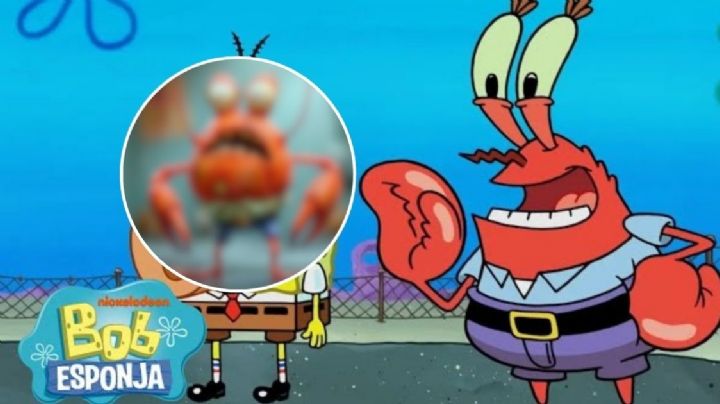 Don Cangrejo de Bob Esponja se vería muy enojón según la IA