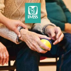 ¿De cuánto será la pensión mínima garantizada en noviembre 2025 si te jubilaste con IMSS?