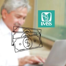 ¿Cómo puedes recibir el pago de Noviembre de tu Pensión IMSS con un pago extra del 35 por ciento?