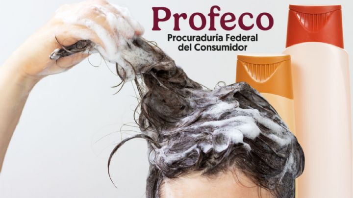 Esta es la mejor marca de shampoo: cuesta menos de 100 pesos y corrige el cabello maltratado, según Profeco