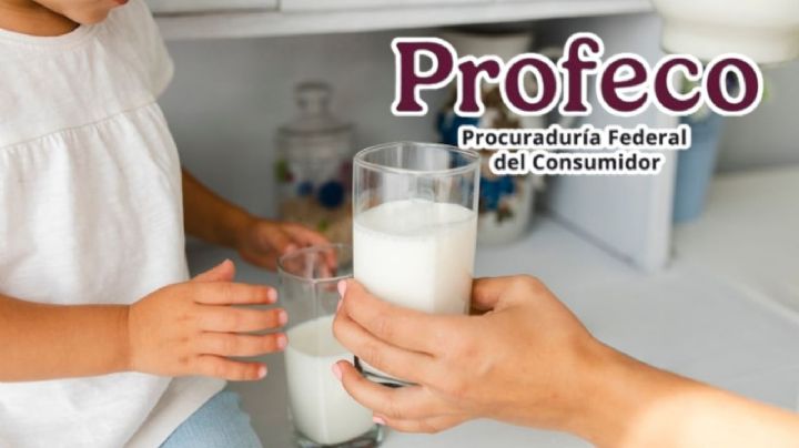 Las mejores marcas de leche entera que puedes comprar, según Profeco