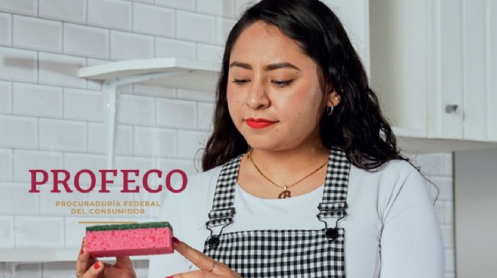 La mejor opción para lavar tus trastes: conoce la fibra elegida por Profeco