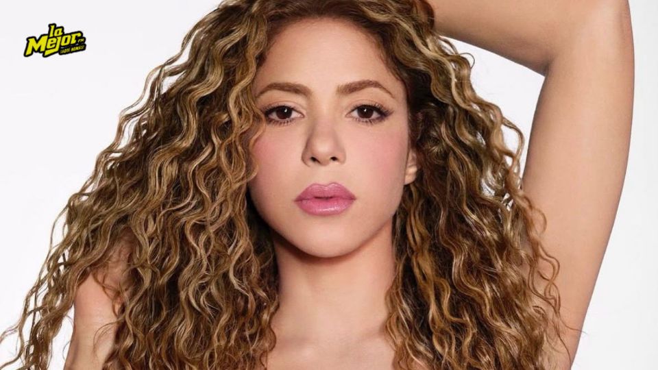 Se reveló la cifra que cobra Shakira por dar un concierto privado.