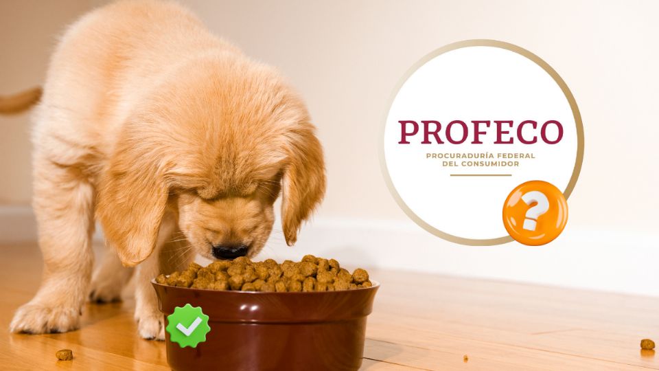 Estas son las mejores croquetas para perros, según estudio de la Profeco