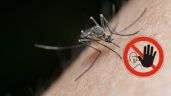 Foto ilustrativa de la nota titulada: El truco para eliminar los mosquitos con jabón de pasta