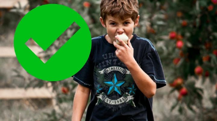 Una por una, todas las botanas que se venderán en las escuelas y no son comida chatarra