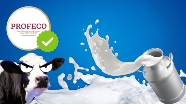 La leche que casi nadie compra en la tienda pero es la mejor, según Profeco