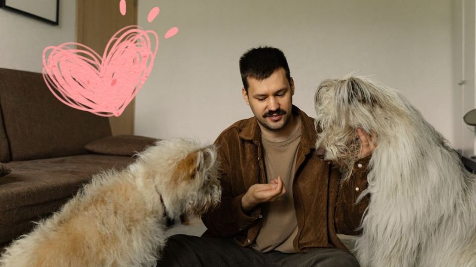 Conoce las interpretaciones psicológicas detrás del hábito de conversar con nuestras mascotas caninas