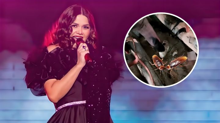 La Plaza de Toros México fue fumigada especialmente para la presentación de Yuridia