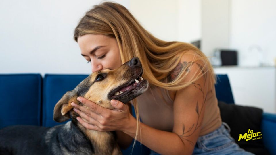 Si deseas adoptar una mascota en CDMX, este artículo es para ti.