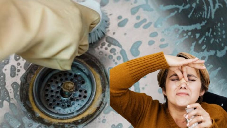 Estos olores no solo son molestos, sino que también pueden afectar la higiene y el ambiente de la casa
