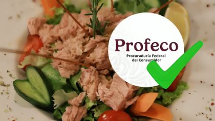 Pocos la conocen, pero es la mejor marca de atún según Profeco