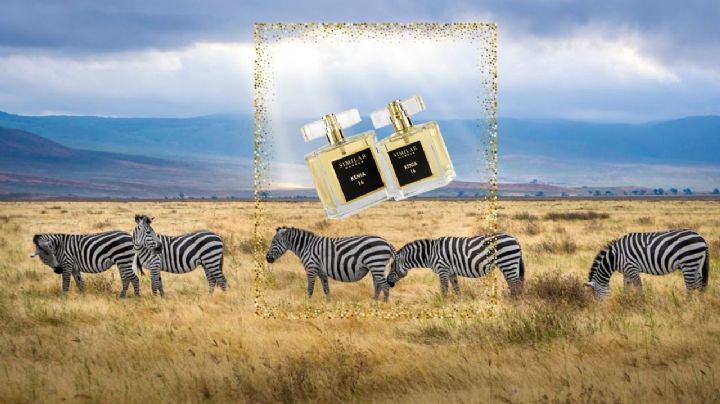 El perfume con aromas africanos que destaca por sus notas naturales y exóticas