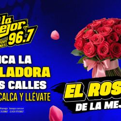 LOS ROSONES DE LA MEJOR