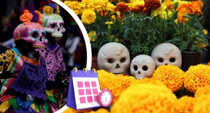 ¿Cuándo y en dónde visitar el jardín de cempasúchil en la Ofrenda Monumental de Día de Muertos 2024?