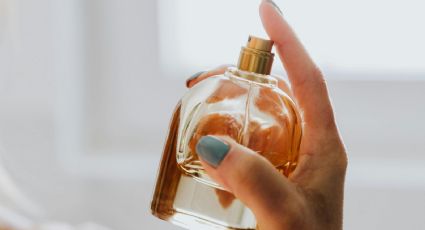 El top de perfumes que debes tener en tu colección porque despiertan muchos halagos en la calle