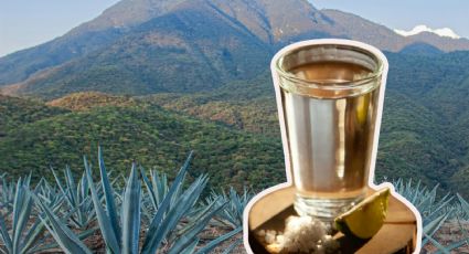 Mezcal: 5 secretos y curiosidades que desconocías sobre la bebida mexicana