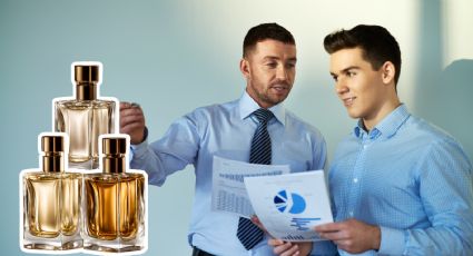 Los 5 mejores perfumes para contadores, según la IA