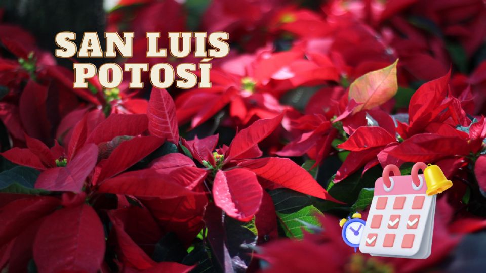 La Feria de la Nochebuena es uno de los principales atractivos de SLP