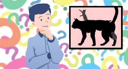 Descubre cuántos años tienes mentalmente, según el número de gatos que ves | Test visual | MÉXICO