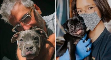 Los perros más famosos del Regional Mexicano