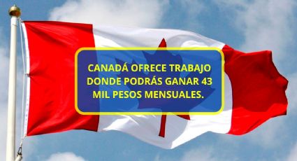 ¿Buscas trabajo con sueldo de 43 mil pesos al mes? Vacantes en Canadá; requisitos