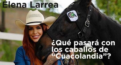 Elena Larrea: ¿Qué sucederá con todos los caballos de Cuacolandia tras su fallecimiento?