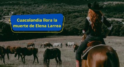 Elena Larrea: Caballos sufren y lloran la muerte de su protectora