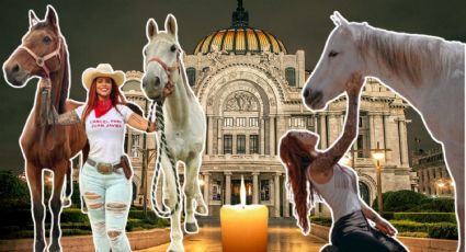 Elena Larrea: Convocan a homenaje para la activista en Bellas Artes, ¿cuándo y dónde?