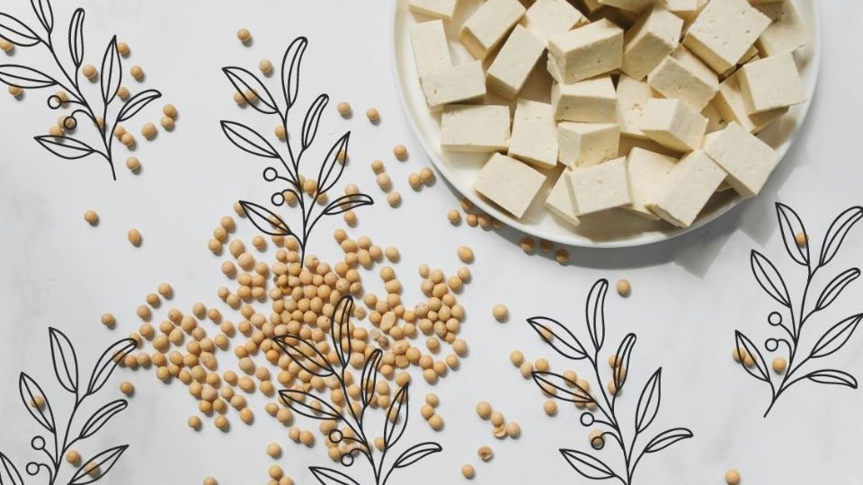 ¿Para qué sirve la soya y cuáles son sus beneficios?