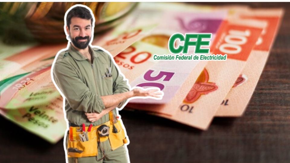 Depósitos en garantía CFE.