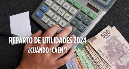 Reparto de Utilidades 2024: ¿Cuándo 'caen' y quién tiene derecho a recibirlas?