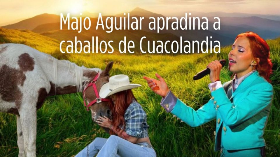 Majo Aguilar dio a conocer que cubrirá los gastos económicos de un caballo que amadrino meses antes de la muerte de la activista y que se encuentra en su santuario.