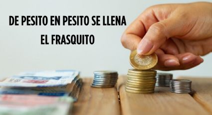 Qué es el “ahorro hormiga” y cuáles son sus beneficios