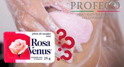 ¿Rosa Venus? Conoce el mejor jabón para bañarse por menos de $10, según Profeco