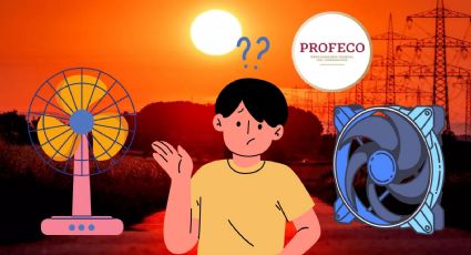 ¿Cuáles son los MEJORES ventiladores según la Profeco? Estos son los más recomendados