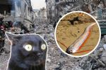 Encuentran un ‘pez remo’ en Baja California: ¿Se viene un terremoto?