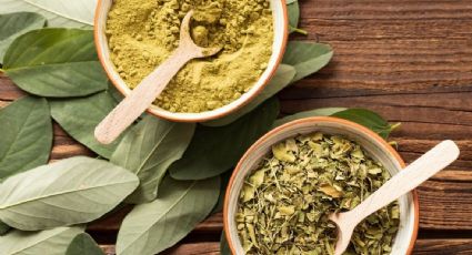 ¿Qué es y para qué sirve la moringa? Estos son sus efectos y beneficios para la salud