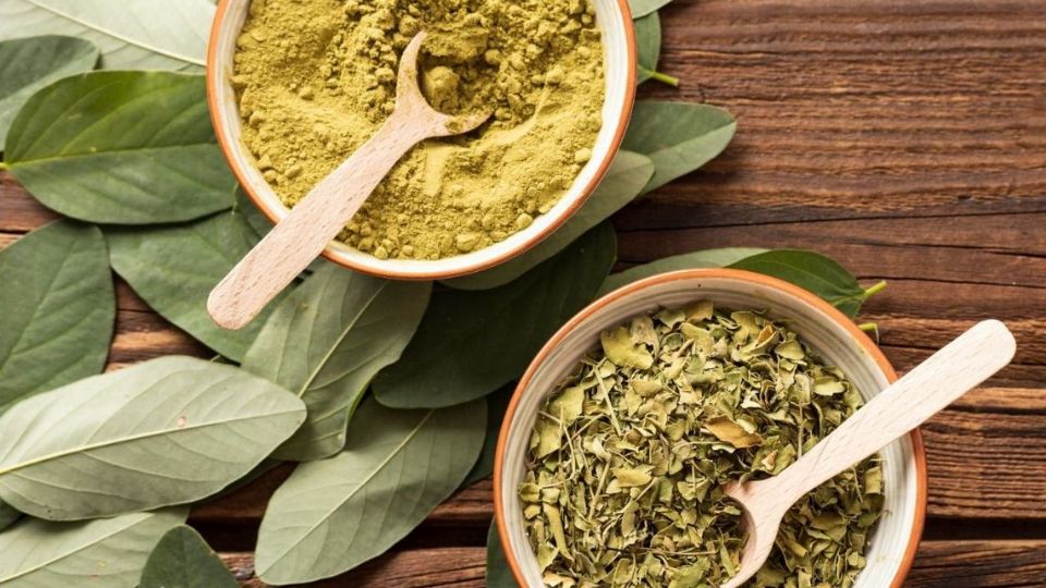 Beneficios y usos para la salud de la moringa