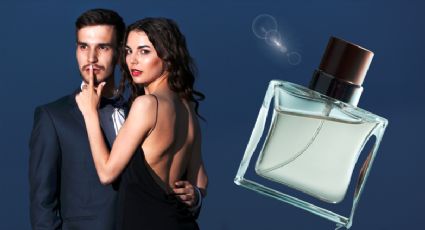 3 perfumes premium para hombres con estilo por menos de mil 399 pesos