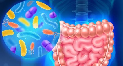 ¿Qué son probióticos y para qué sirven? Estos son sus beneficios para tratar enfermedades