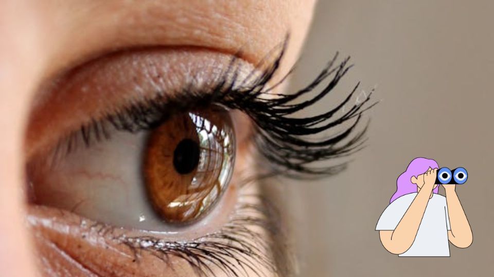 ojo humano para reto visual. Fuente: Foto: Pixabay / Producción La Mejor