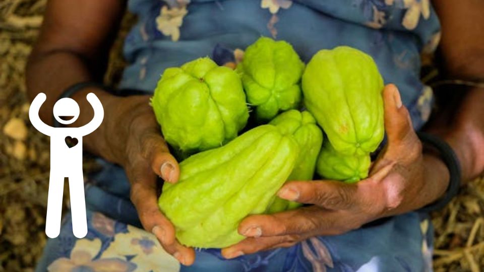 Qué enfermedades ayuda a prevenir el chayote. Fuente: Foto: Pexels / Producción La Mejor
