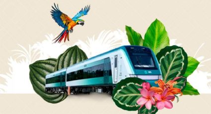 Nueva ruta directa del Tren Maya de Mérida a Playa del Carmen: Precios, horarios y duración del recorrido