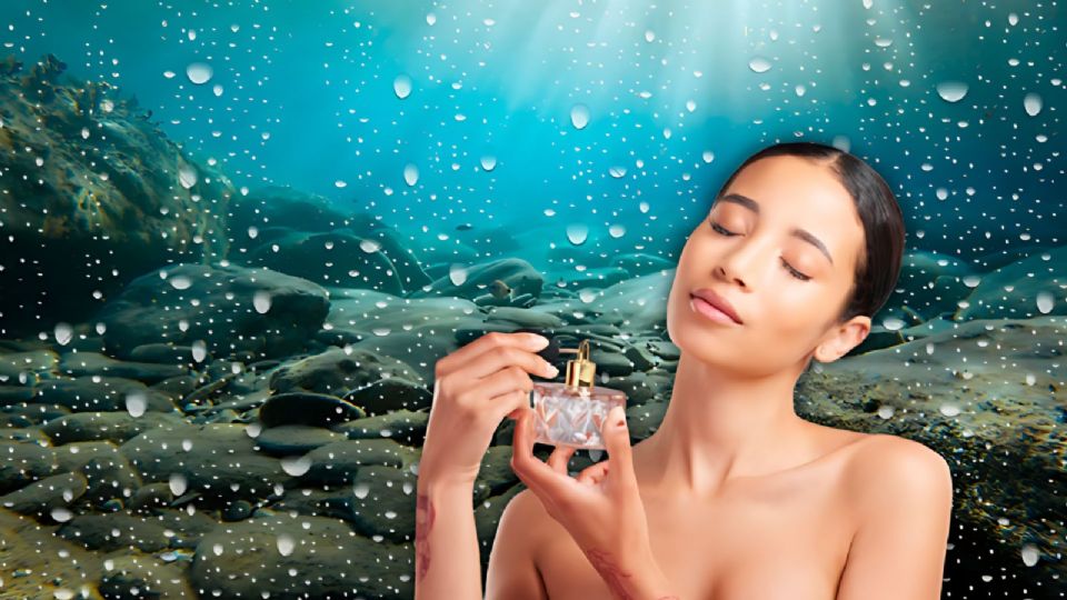 Perfume con aroma a mar que te relajará