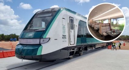 Tren Maya: ¿Cómo serán los camarotes para dormir durante viajes largos y nocturnos? FOTOS