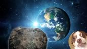 Foto ilustrativa de la nota titulada: Alerta por el impacto de un asteroide en la Tierra: Esto es lo que se sabe según científicos