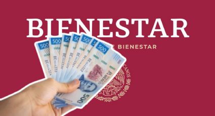 Pensión Bienestar 2024: Requisitos para obtener 3,100 pesos sin ser adulto mayor o estudiante