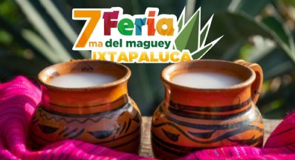 Feria del Maguey 2024: ¿Cuándo y dónde será el evento donde habrá curados y pulque?